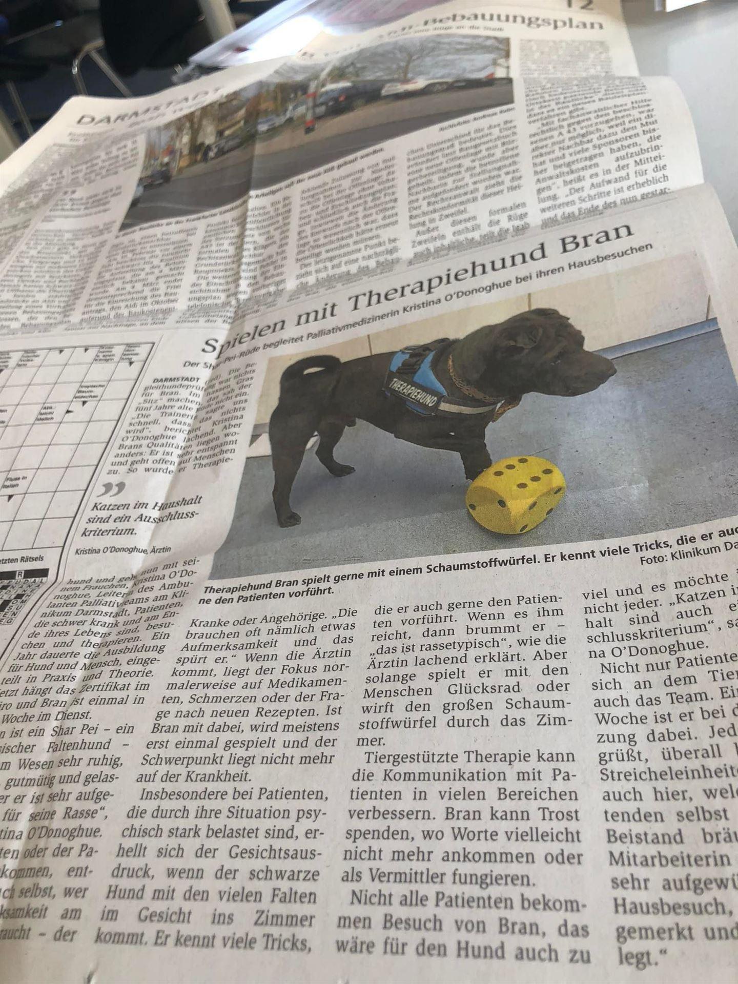 Bran hat es auch in die Zeitung geschafft.