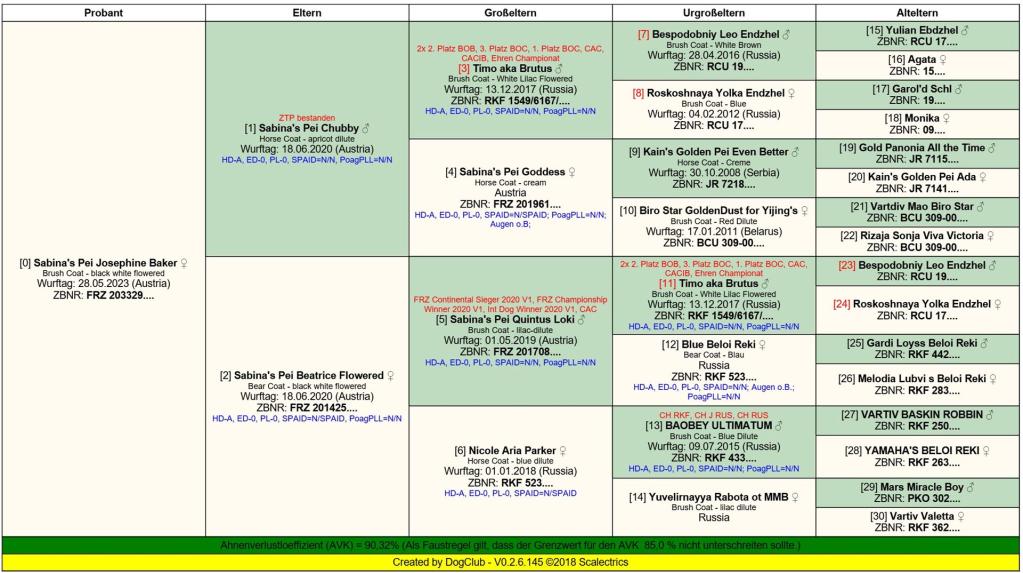 Sabrina's Pei Josefine Baker_dogclub