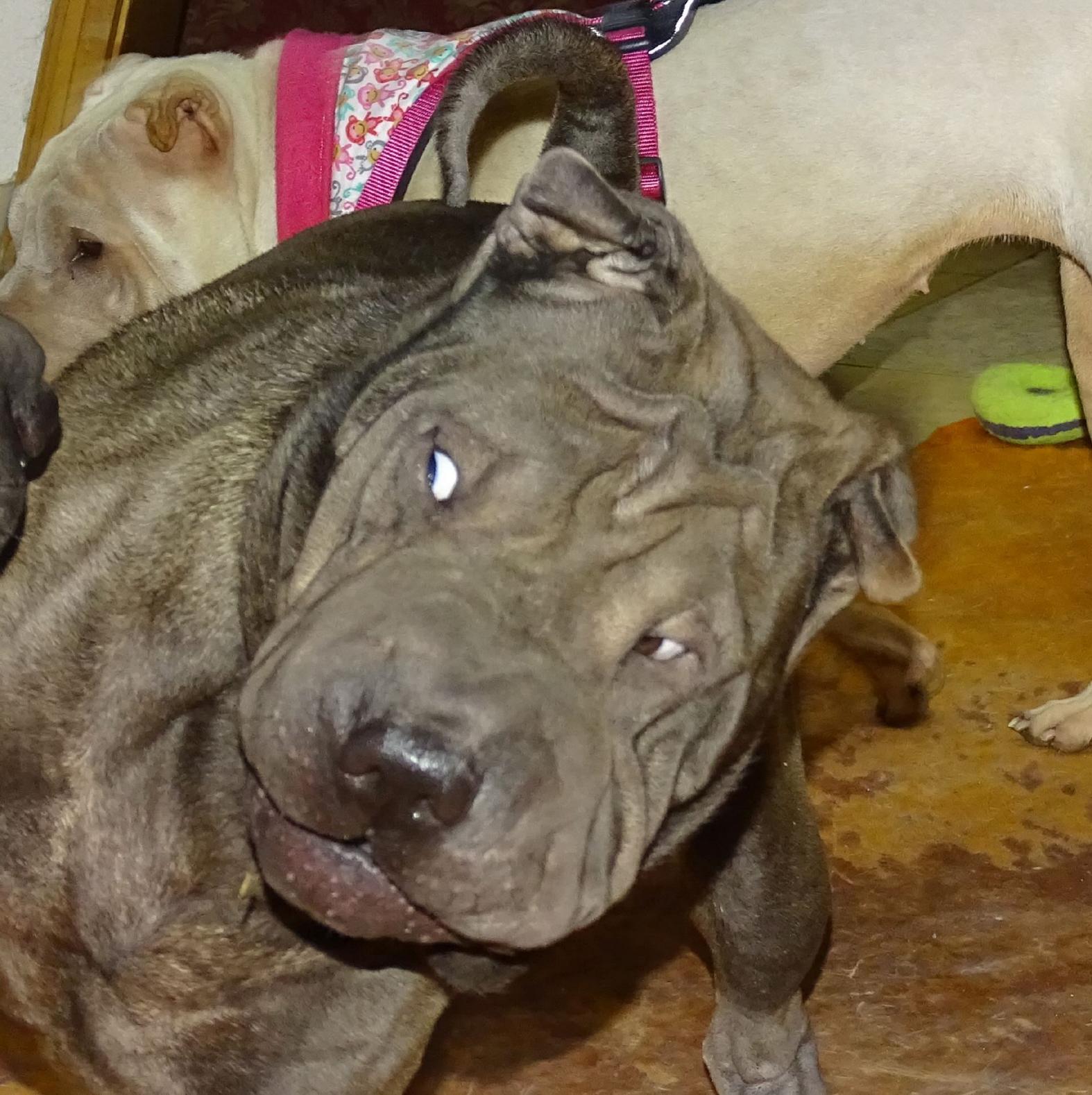 "Crazy" Coolio-Cooper