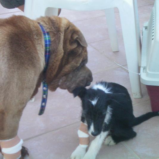 Wally in Kreta mit Suesue