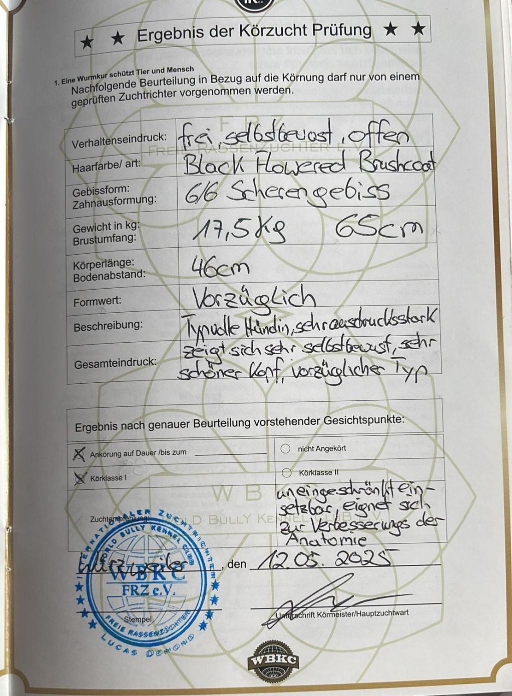 JOSI-Körzucht-Prüfung