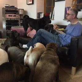 Pumpkin, Easy, Mathilda, Wally, Cooper und Crispy