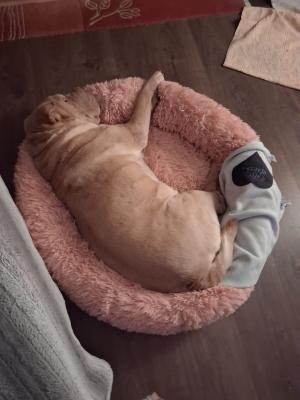 WhatsApp Bild 2025-06-04 um 23.15.22_0297900e