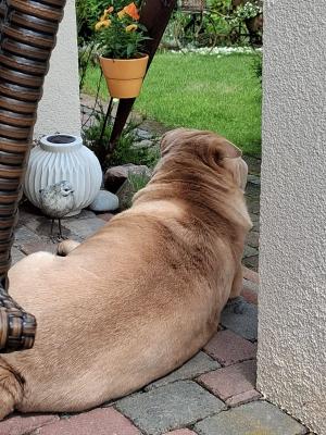 WhatsApp Bild 2025-06-06 um 17.42.47_c6f48943