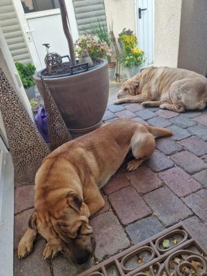 WhatsApp Bild 2025-06-22 um 23.28.03_70aea851