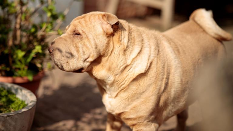 2022-04-24-10-36-26-EOS R-2649_3840px