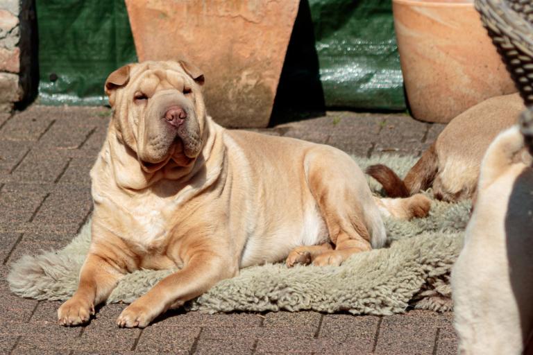 2022-04-27-11-46-12-EOS 7D Mark II-2692_3840px