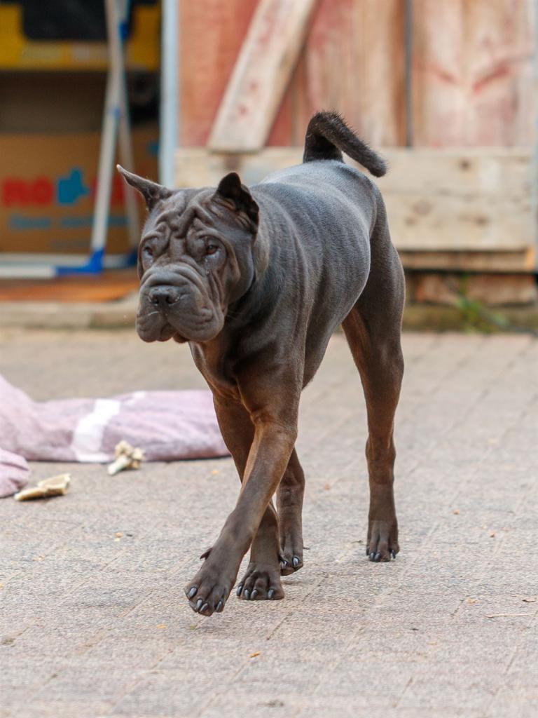 2022-05-20-17-37-34-EOS-1D X Mark II-0820_3840px