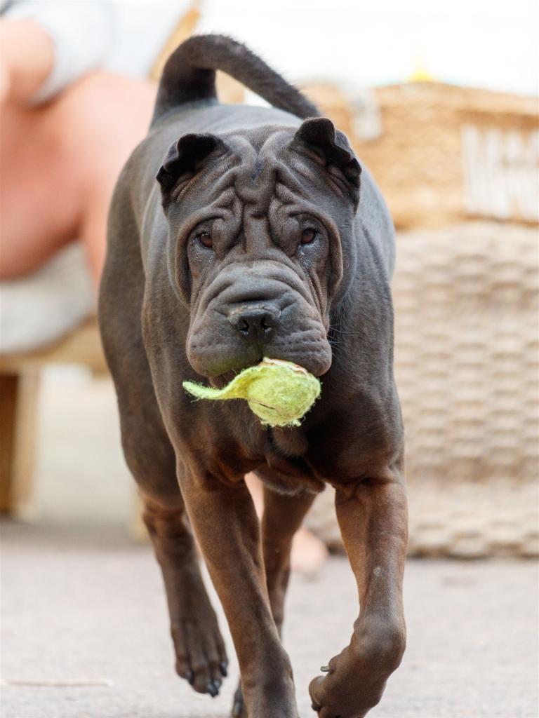 2022-05-26-16-33-48-EOS-1D X Mark II-1202_3840px