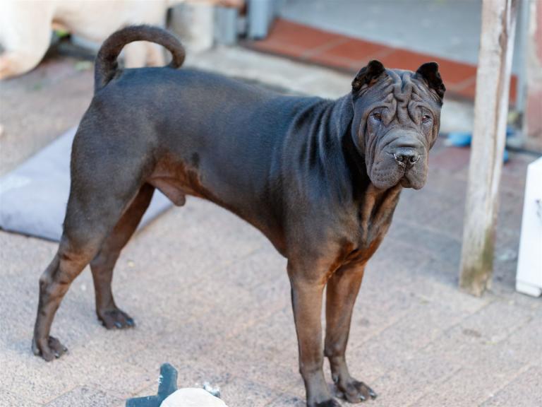 2022-06-01-19-44-21-EOS-1D X Mark II-1298_3840px