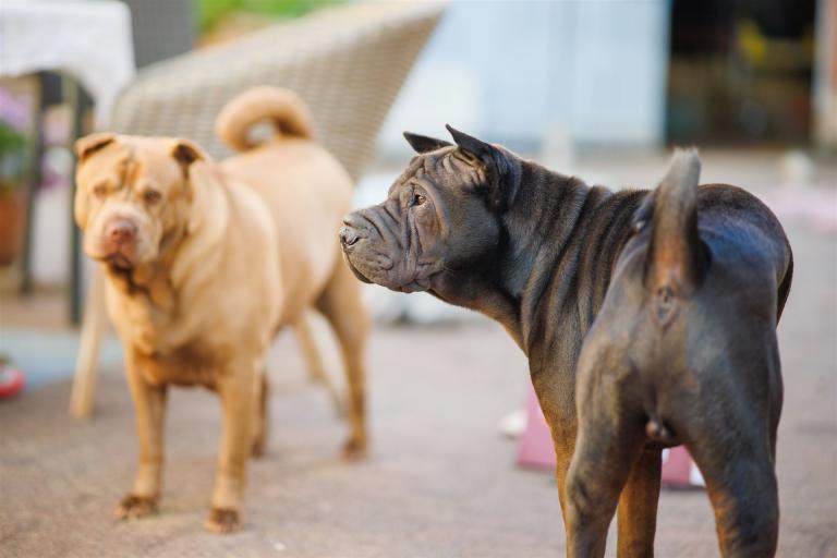 2022-06-04-17-38-25-EOS RP-0055_3840px