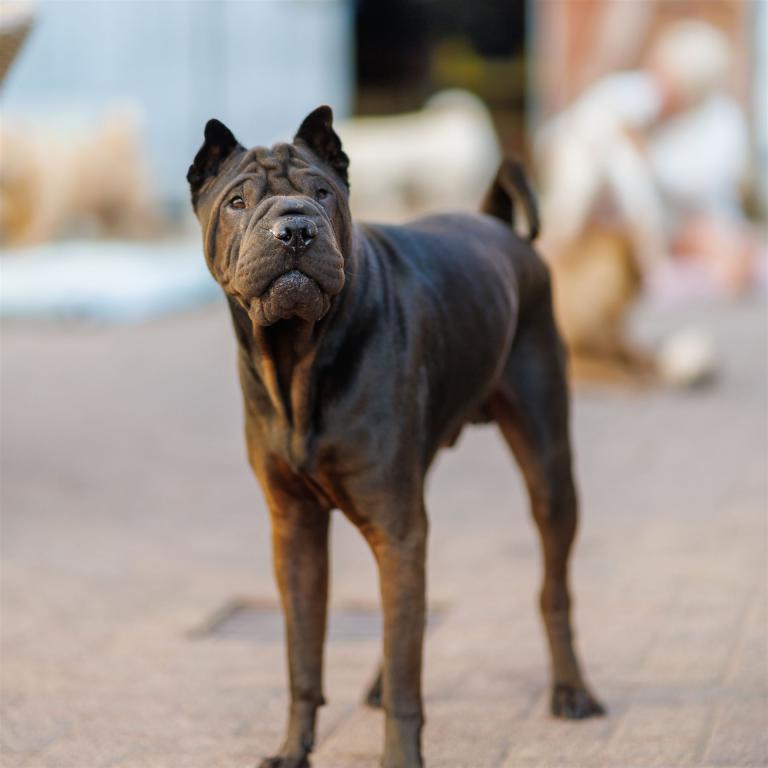 2022-06-04-17-48-17-EOS RP-0085_3840px