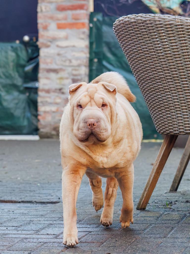 2023-02-20-15-55-01-EOS R6m2-0187-Bearbeitet_2048px