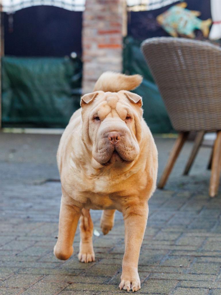 2023-02-20-15-55-02-EOS R6m2-0189_2048px