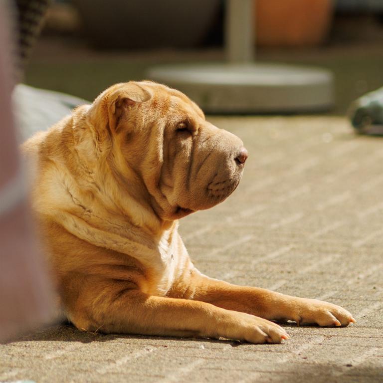 2023-04-10-13-37-52-EOS R7-3660_2048px