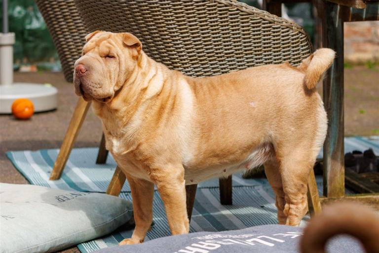 2023-05-01-11-08-06-EOS R7-3820_2048px