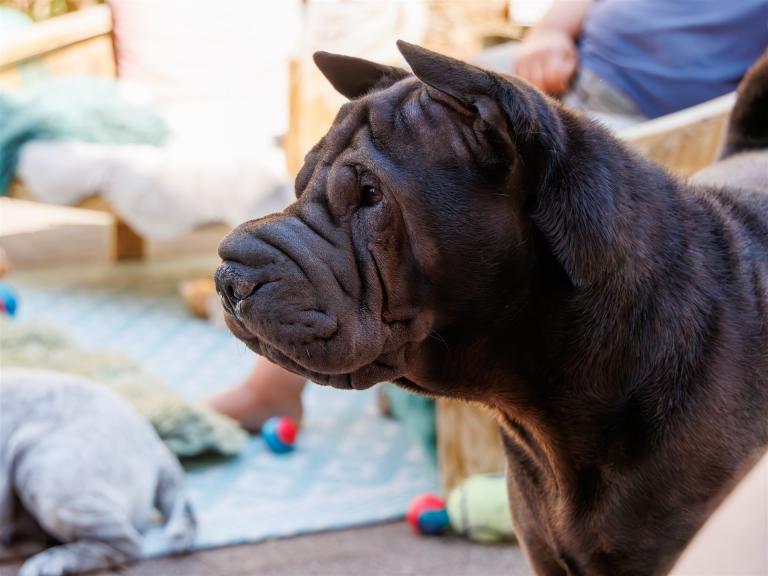 2023-06-04-15-40-14-EOS R7-4815-Verbessert-RR_2048px