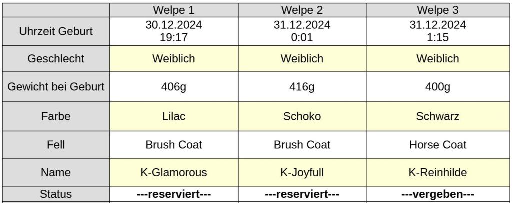 2024-12-K-Wurf-Tabelle