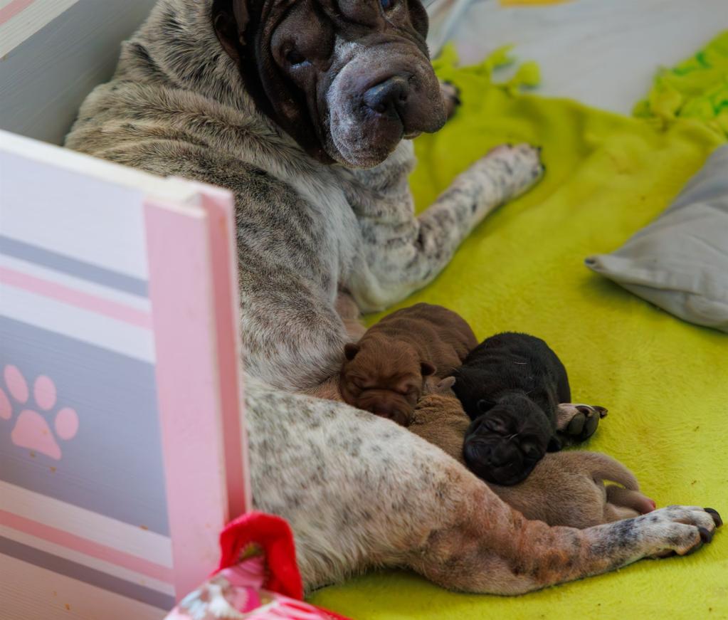 2025-01-02-15-14-42-EOS R6m2-1708-Verbessert-RR