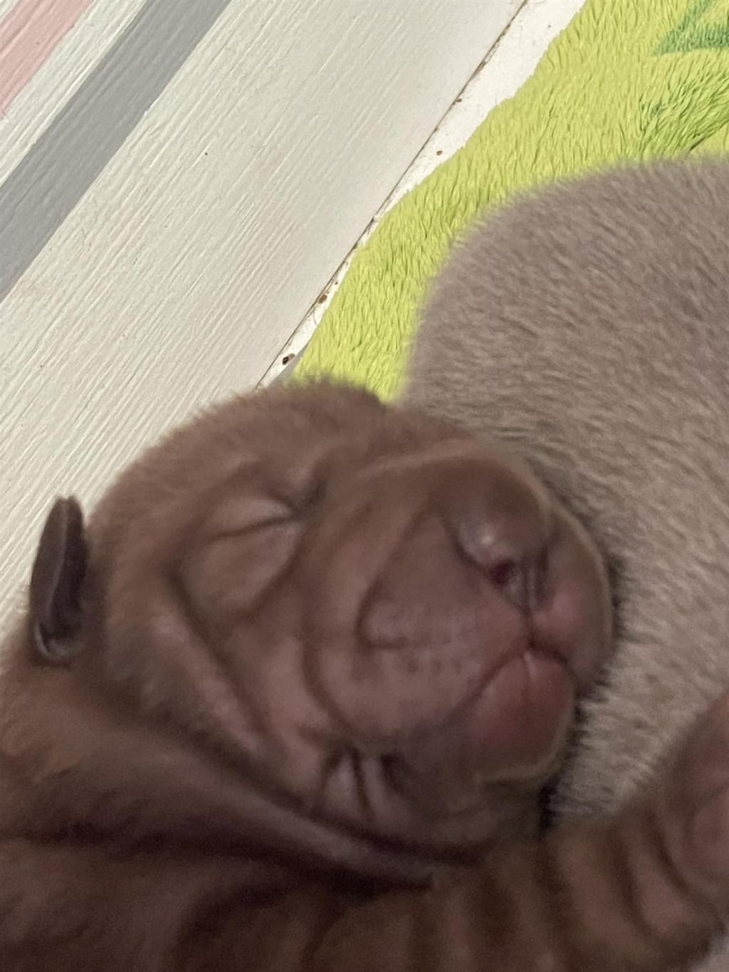 472559811_3843265759254217_6996885810323319973_n