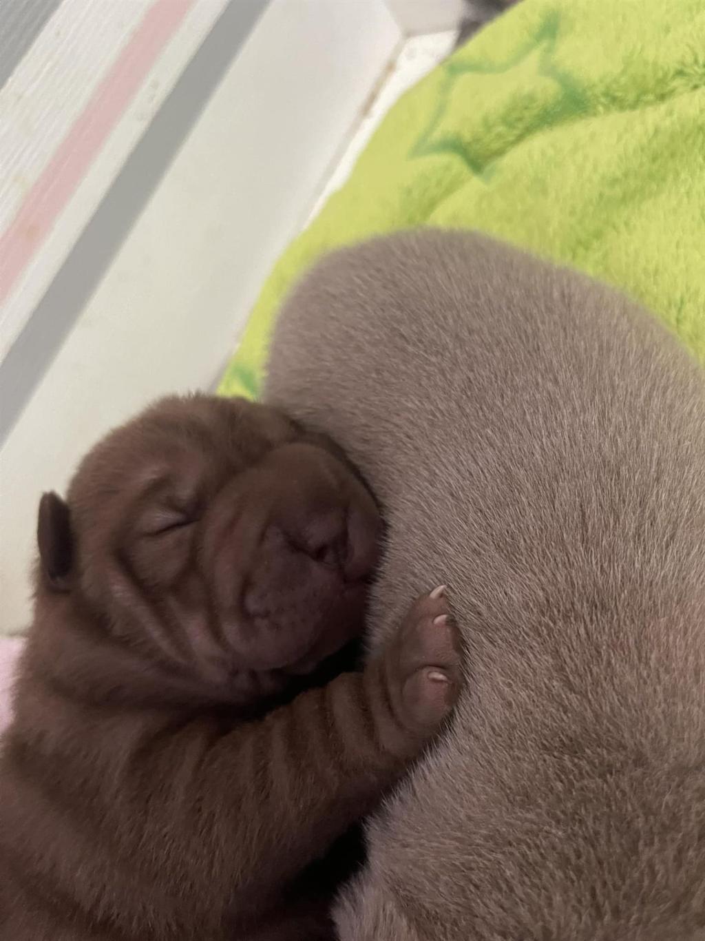 472571022_3843265782587548_1373559528665301770_n