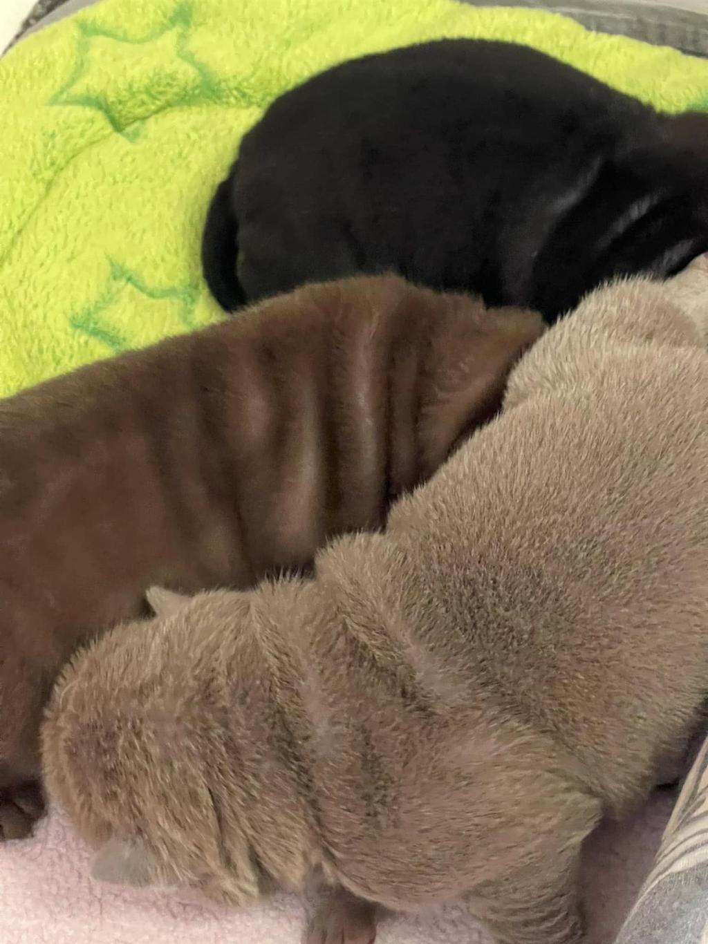 472712172_3843264569254336_970566179827114657_n