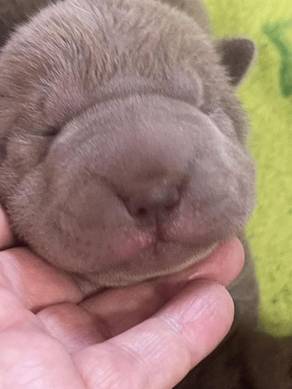 472745288_3843264125921047_5143990786173867766_n