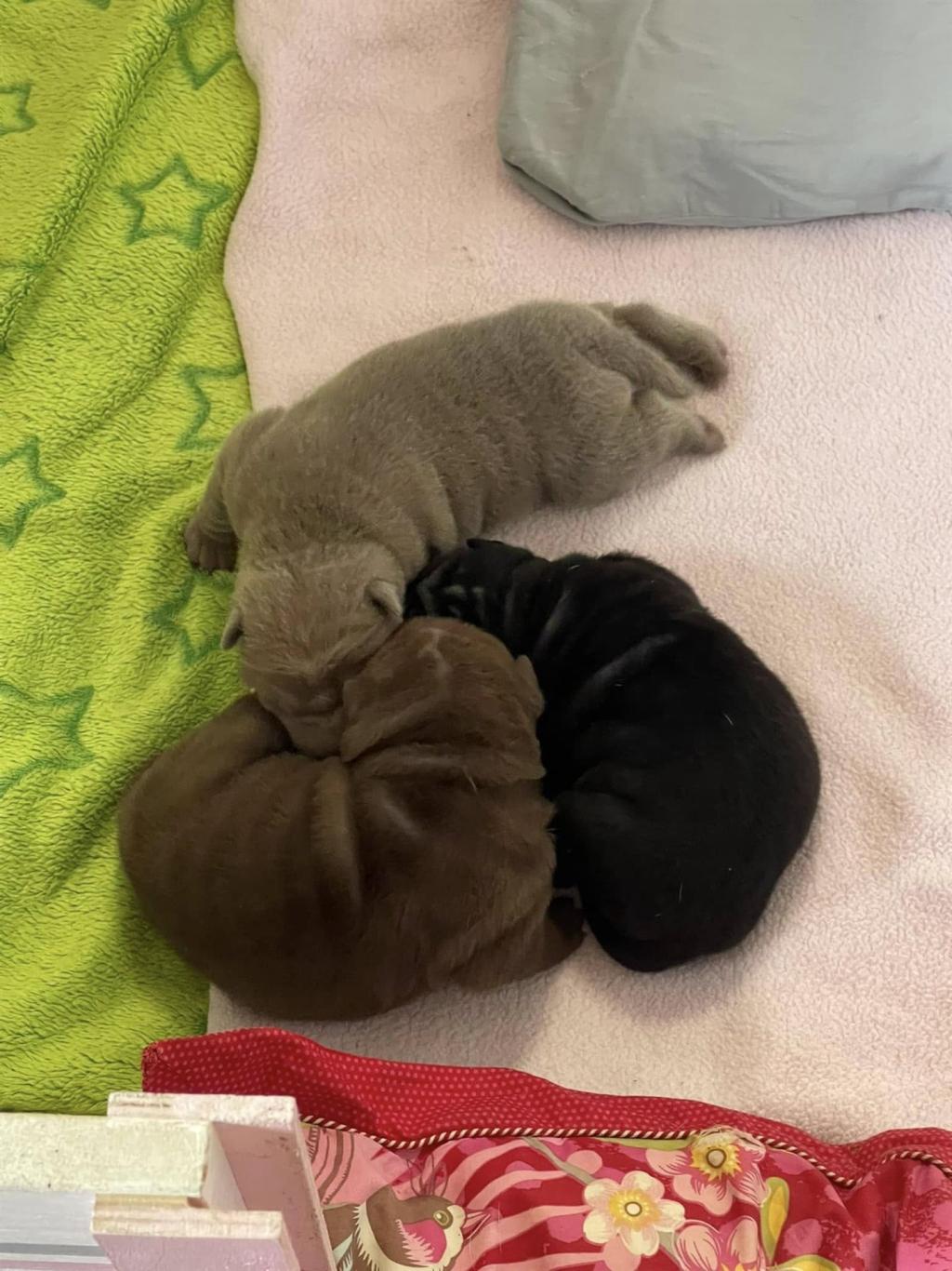 472749231_3843264449254348_3956639899033002733_n