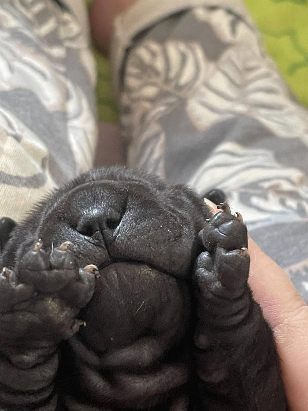 472754047_3843264185921041_1924085626157153957_n