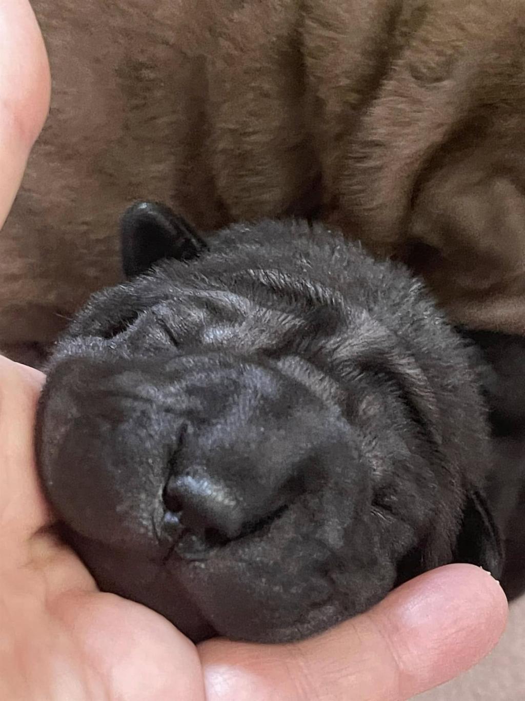 472756144_3843264235921036_8994084494671888939_n