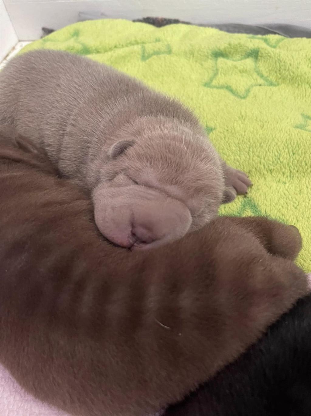 472778812_3843264505921009_8508994447669886898_n