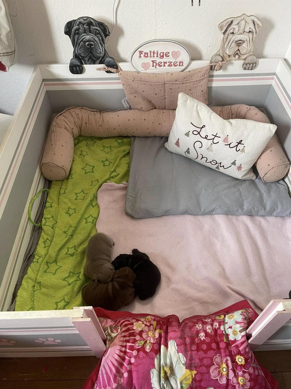 472790746_3843264545921005_3237863511502853173_n