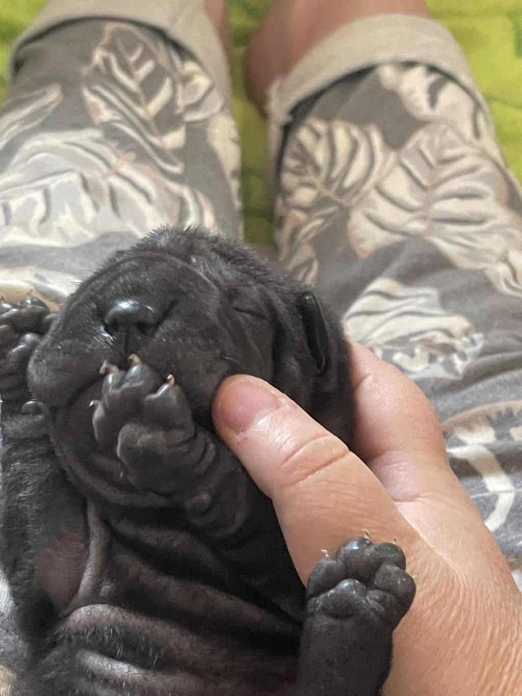 472798343_3843264132587713_7652290488891747878_n