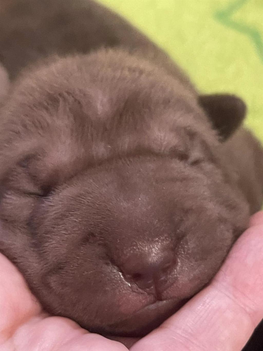 472805759_3843264522587674_6178124114283117361_n