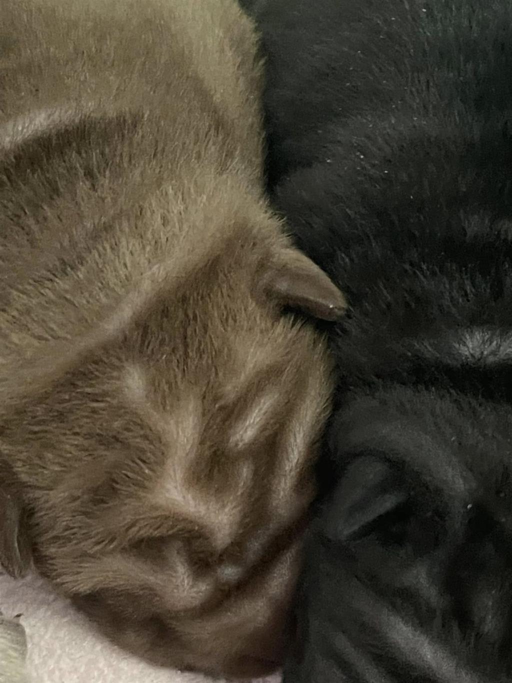 472884085_3843264332587693_818705955623255002_n