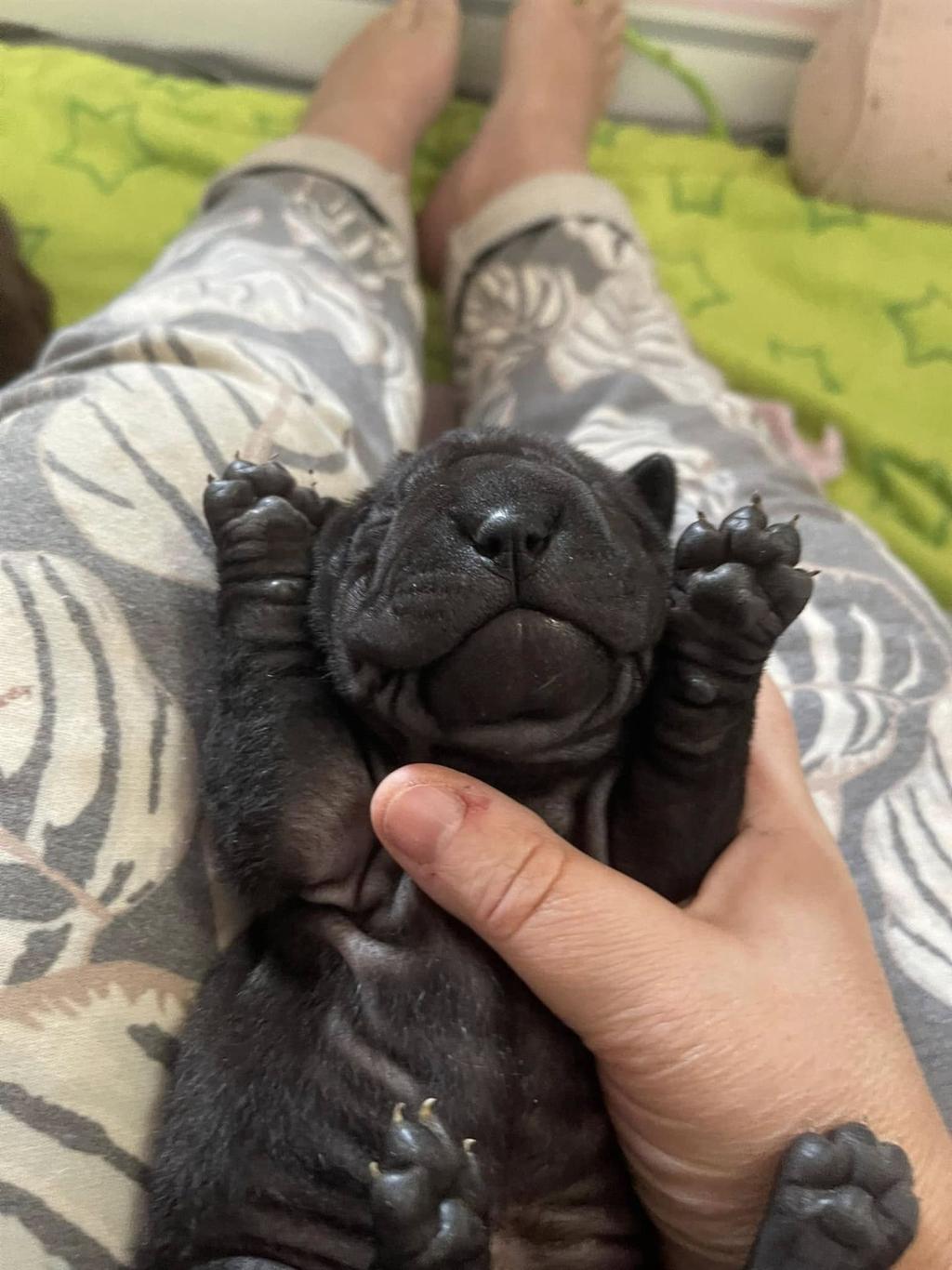 472944835_3843264169254376_2494298712293091254_n