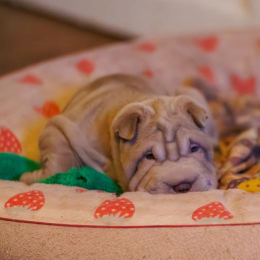 2025-02-19-18-14-07-EOS R7-6955-Verbessert-RR