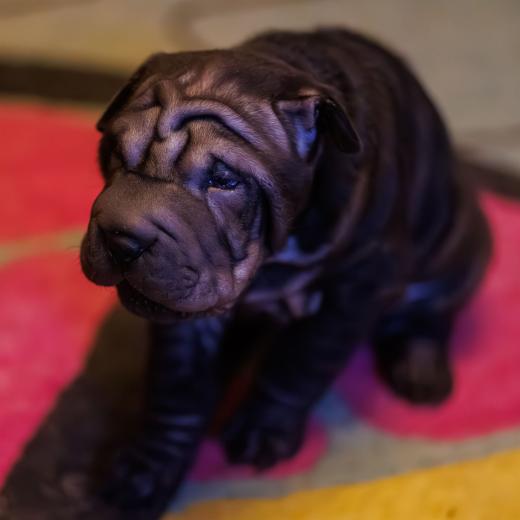 2025-02-19-18-14-33-EOS R7-6957-Verbessert-RR