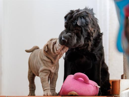 2025-02-22-10-58-20-EOS R6m2-5924-Verbessert-RR