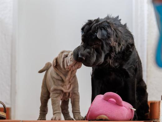 2025-02-22-10-58-21-EOS R6m2-5925-Verbessert-RR