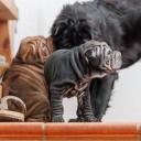 2025-02-22-10-59-09-EOS R6m2-5944-Verbessert-RR