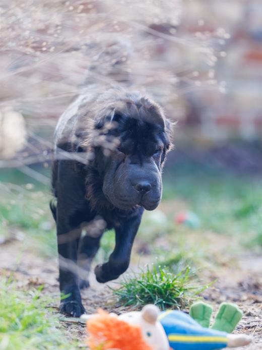 2025-02-23-09-58-53-EOS R6m2-5962-Verbessert-RR