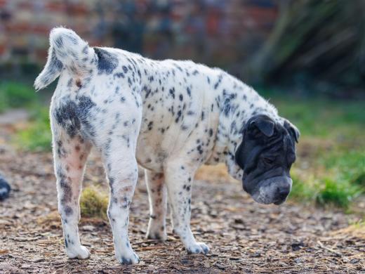 2025-02-23-09-59-03-EOS R6m2-5966-Verbessert-RR