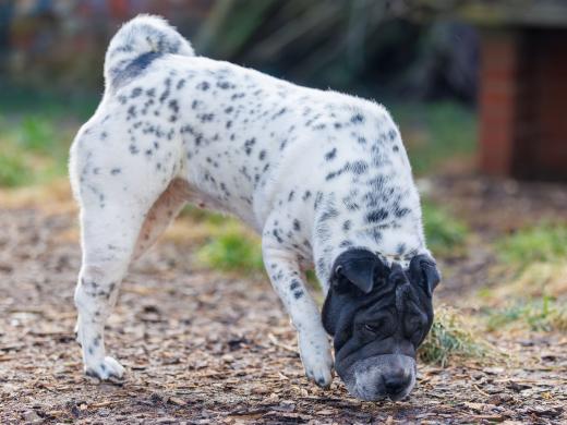 2025-02-23-09-59-15-EOS R6m2-5969-Verbessert-RR