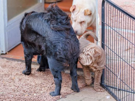 2025-02-23-10-20-50-EOS R6m2-5971-Verbessert-RR