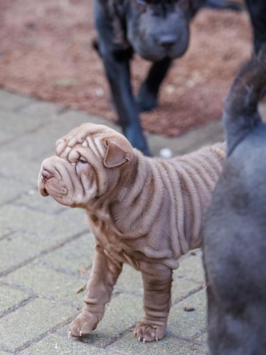 2025-02-23-10-20-54-EOS R6m2-5980-Verbessert-RR