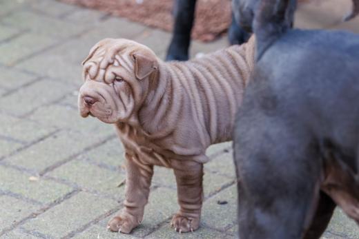 2025-02-23-10-20-54-EOS R6m2-5981-Verbessert-RR