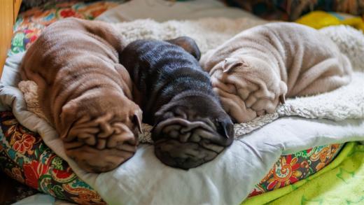 2025-03-01-12-15-01-EOS R7-6964-Verbessert-RR