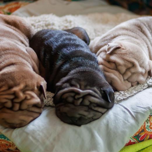 2025-03-01-12-15-01-EOS R7-6964-Verbessert-RR