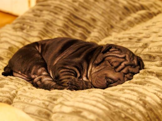 2025-03-07-19-10-54-EOS R6m2-5992-Verbessert-RR